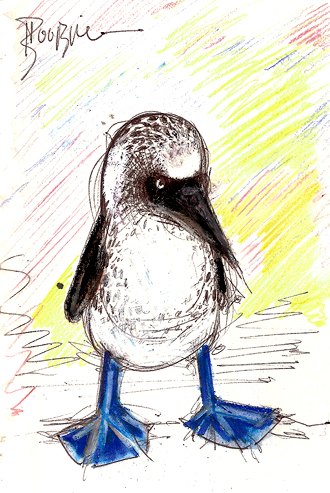 boobie-study-v002